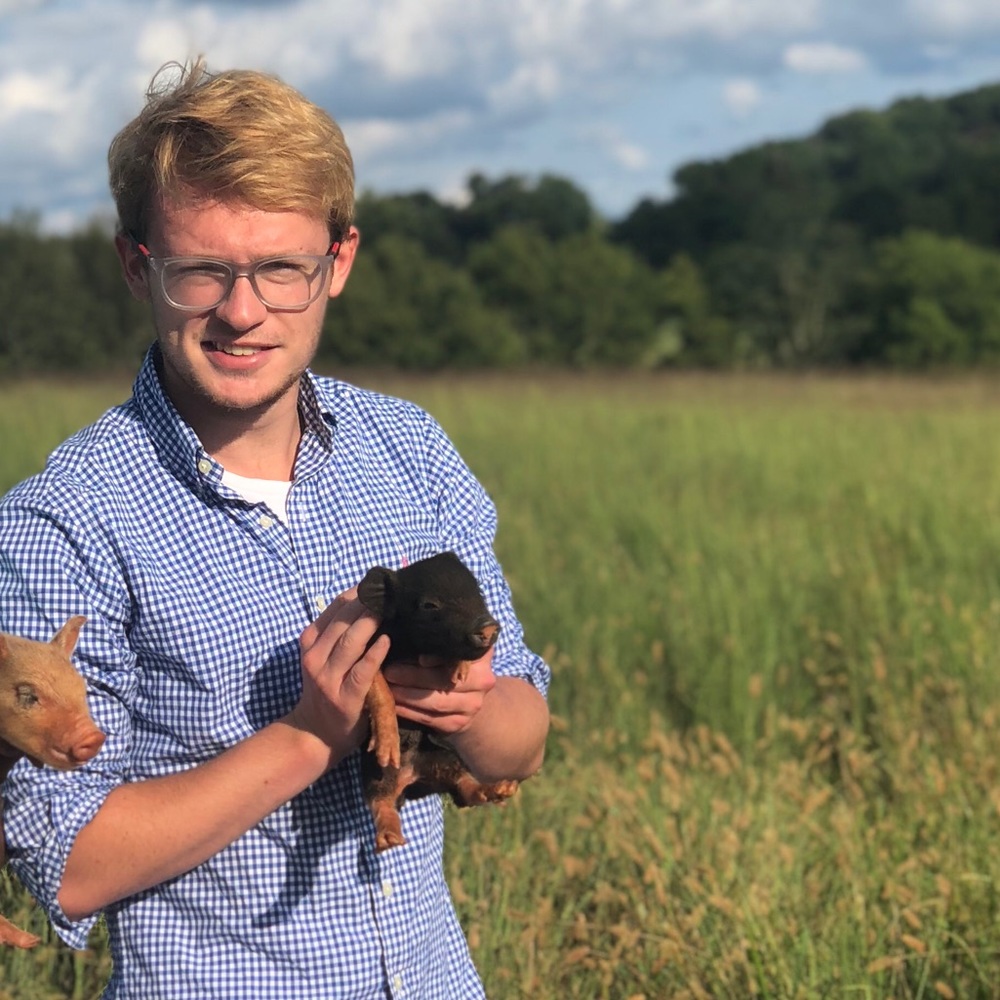 Meet your Posher, Lucas